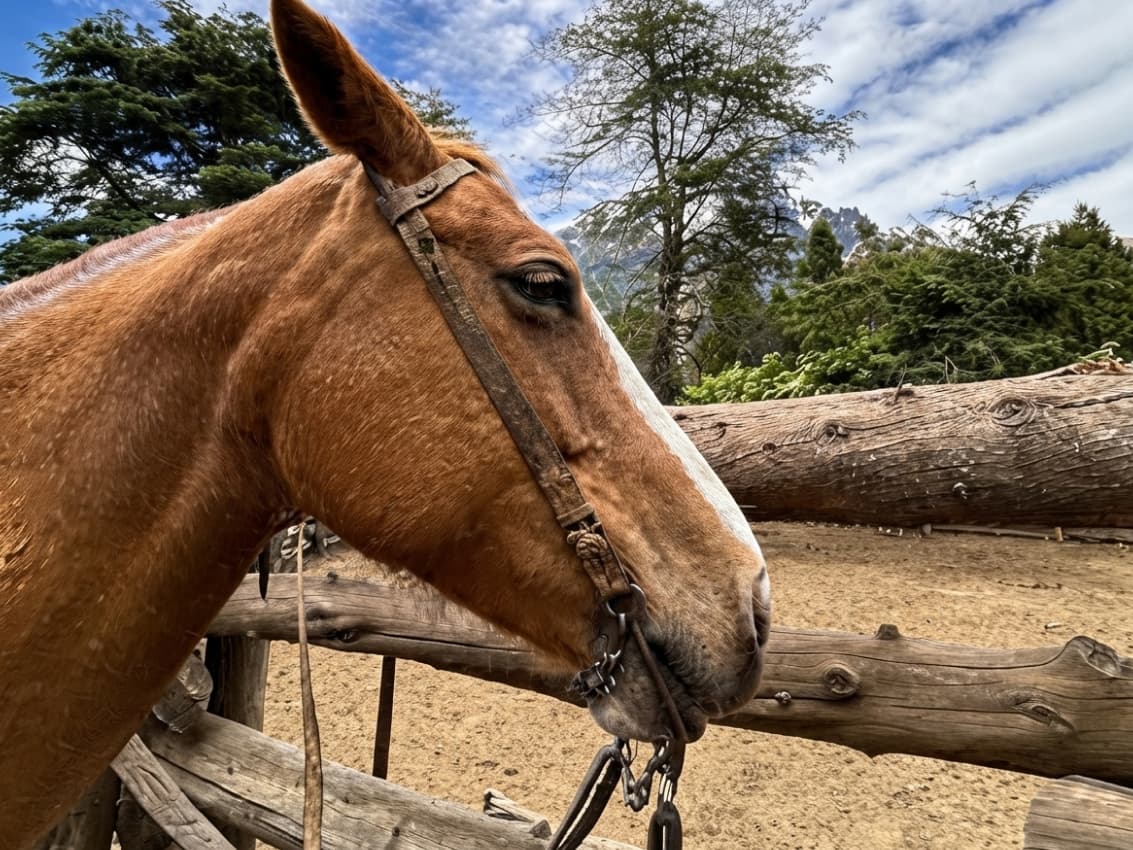 Cabalgata Wesley