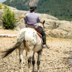 Cabalgata por el bosque de Cohiues