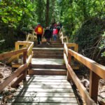 Puerto Blest e Cascada Los Cántaros sem traslado (saída de Puerto Pañuelo)