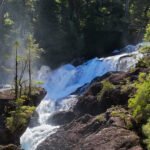 Conocé Puerto Blest y la Cascada Los Cántaros con traslado incluido