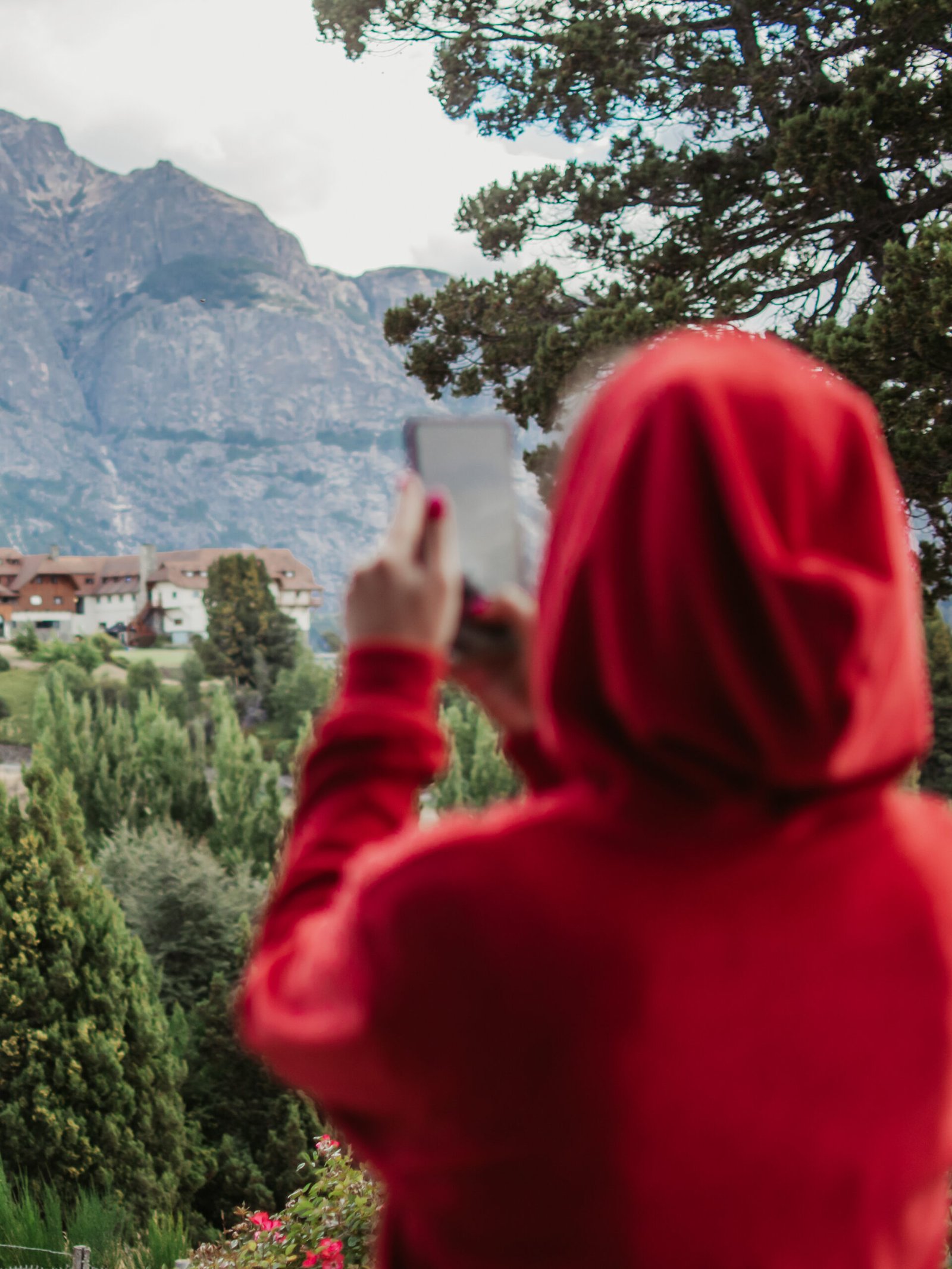 8 DSC_0192 Seguro de Reprogramación - Imagen 1