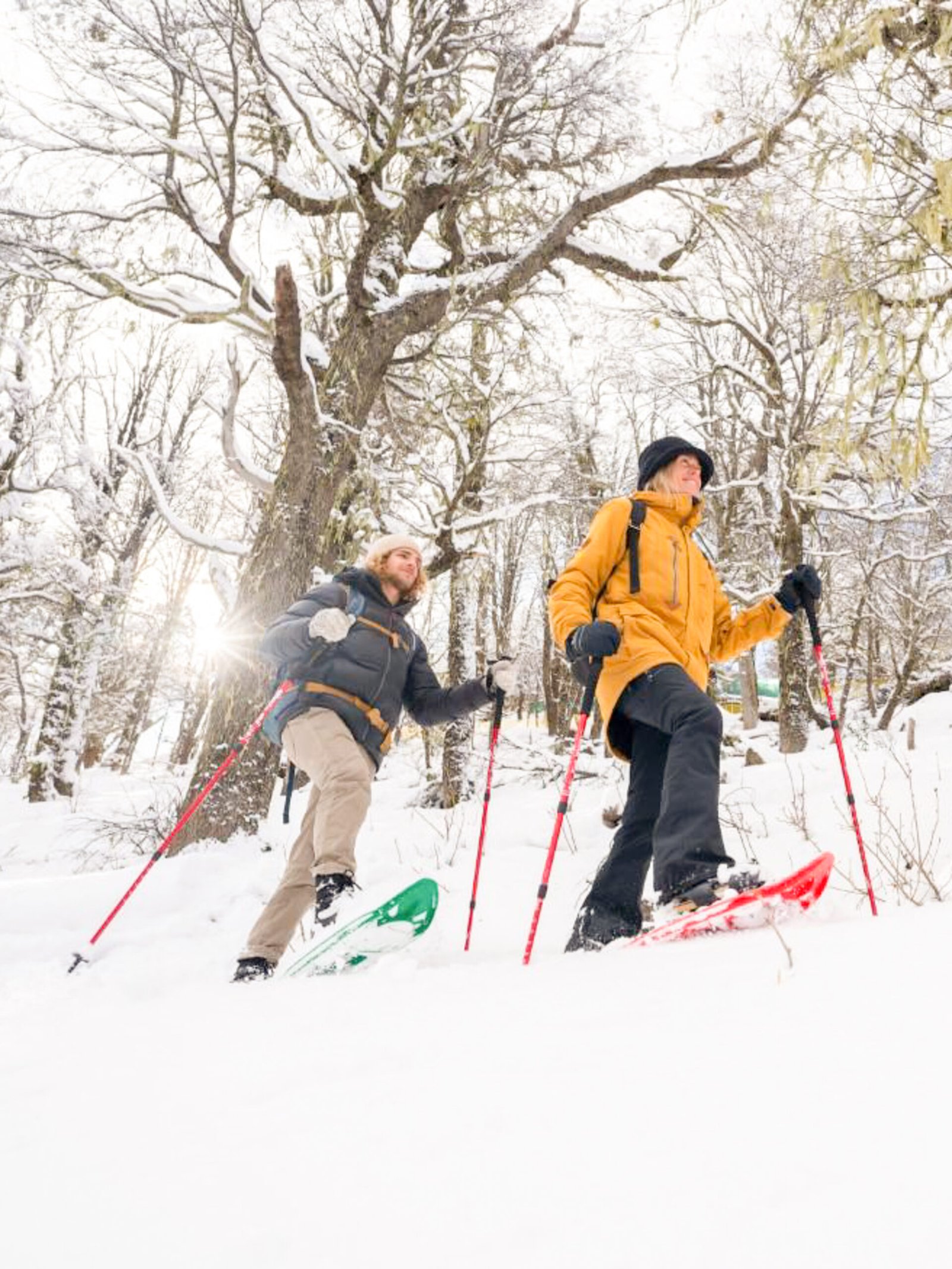 8 A 77074 - copia Vivencias en la nieve: caminata fácil, sabores regionales y diversión en el Refugio Neumeyer - Imagen 1