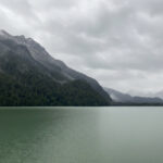 Excursión a Puerto Blest y Lago Frías con traslado desde Bariloche