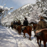 Cabalgata con vista al Cerro López - Aventura entre bosques y miradores del Circuito Chico