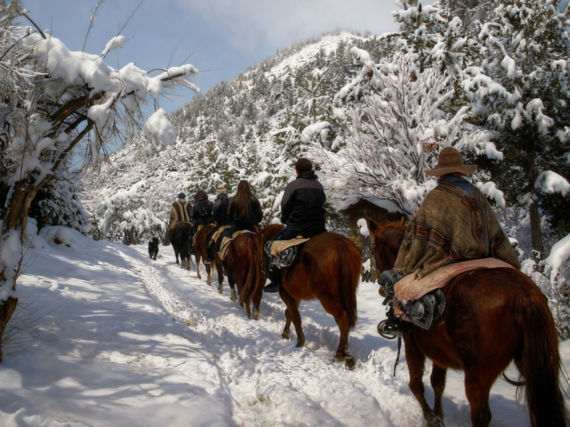 Cabalgatas lopez 15 (1) Cabalgata con vista al Cerro López - Aventura entre bosques y miradores del Circuito Chico - Imagen 1